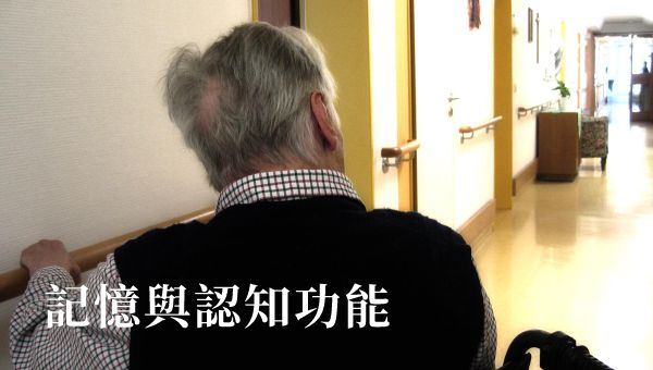 Read more about the article 記憶與認知功能