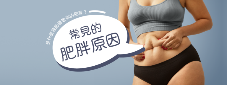 Read more about the article 常見的肥胖原因